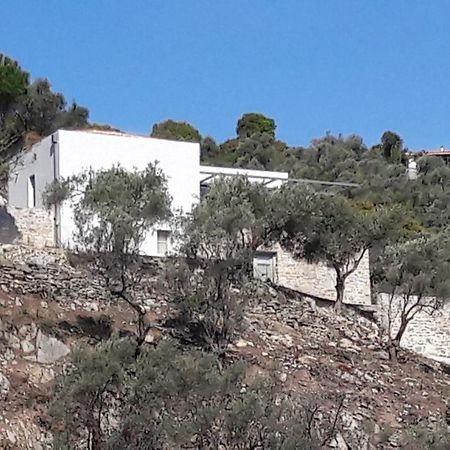 House Λ Villa Moni Evaggelistrias Dış mekan fotoğraf
