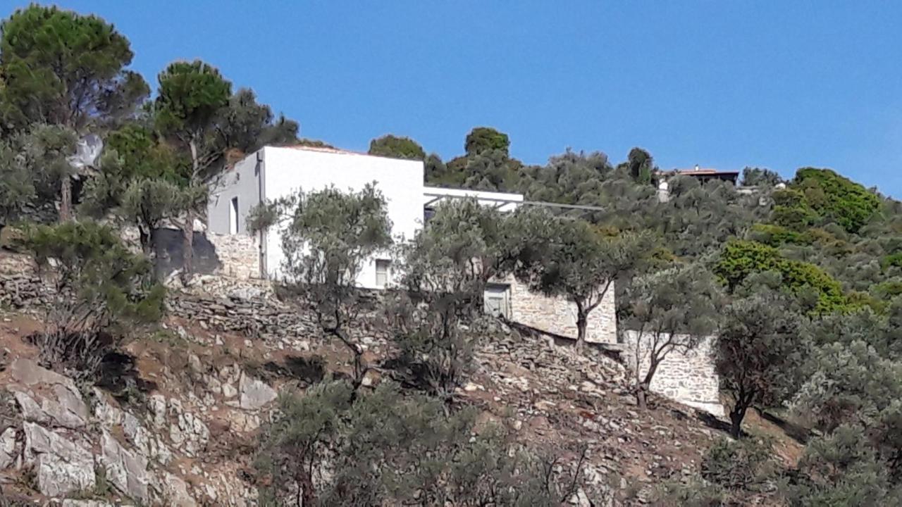 House Λ Villa Moni Evaggelistrias Dış mekan fotoğraf