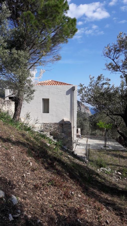 House Λ Villa Moni Evaggelistrias Dış mekan fotoğraf