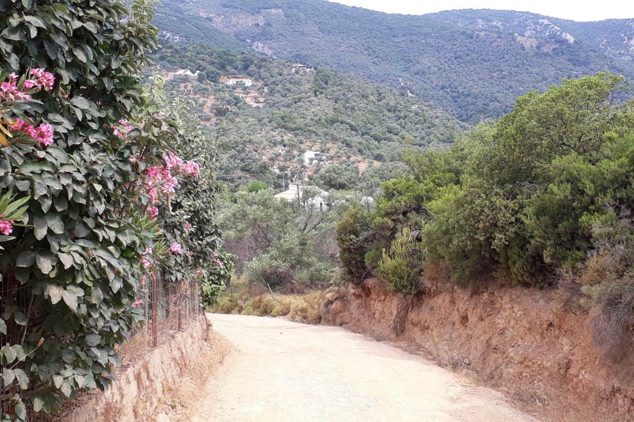 House Λ Villa Moni Evaggelistrias Dış mekan fotoğraf